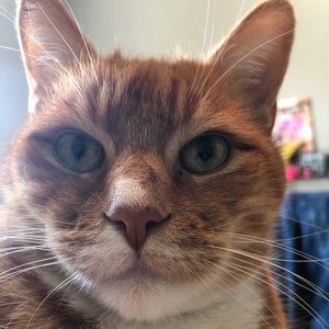 Meet your Posher, Casey